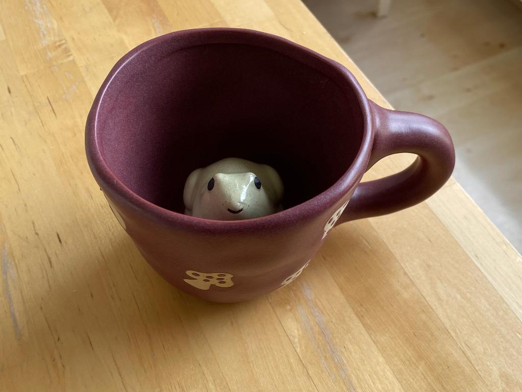 Peekaboo Beker met kikker & paddenstoelen zgan Urban Outfitt, Ophalen of Verzenden, Zo goed als nieuw, Overige stijlen, Kop(pen) en/of Schotel(s)