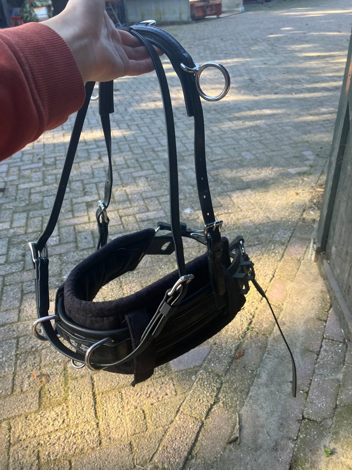 Gezocht zilco of kieffer combi borst, Kieffer, Zo goed als nieuw, Borsttuig, Mini