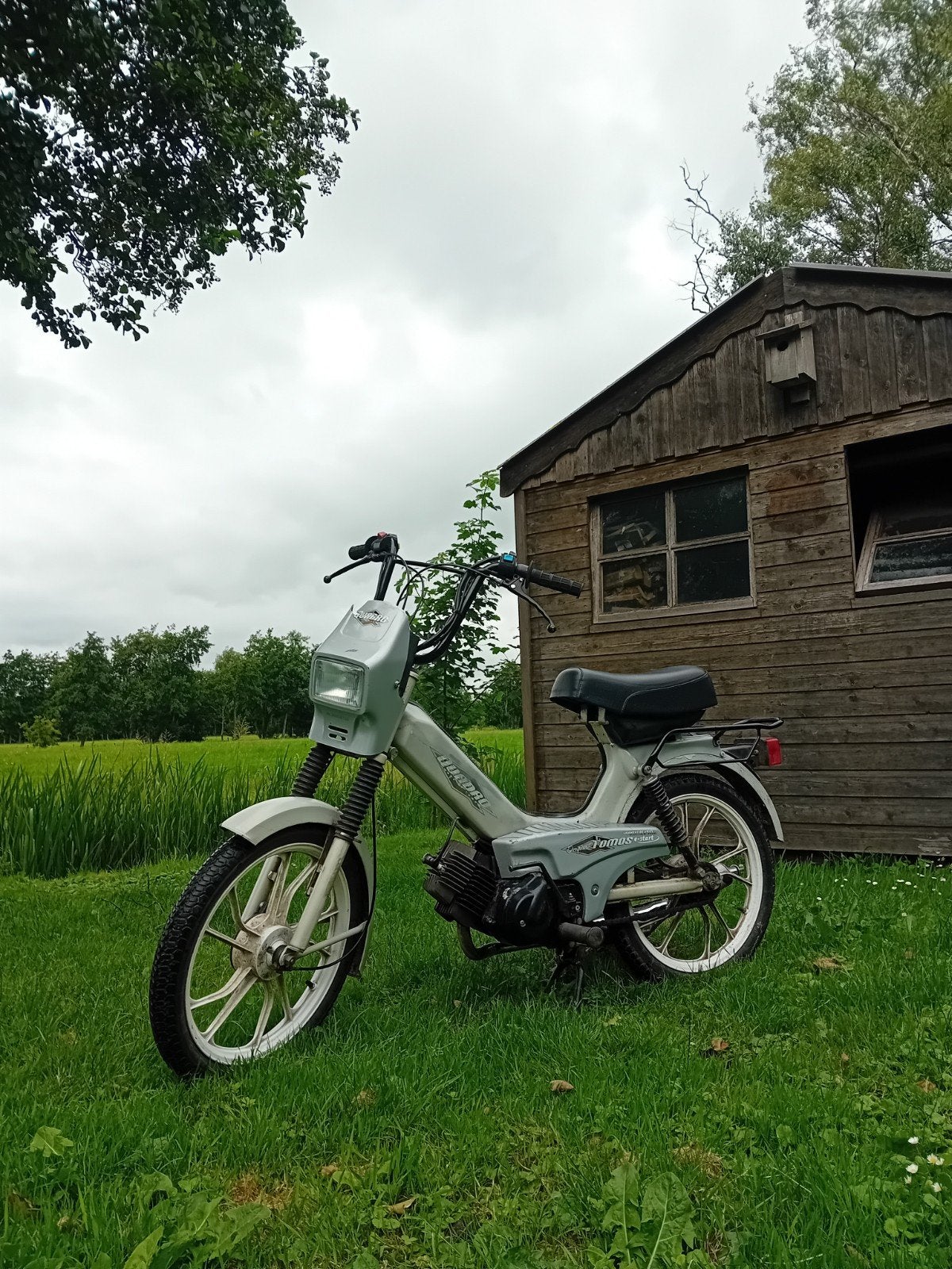 Tomos quadro opknapper, Ophalen, Gebruikt, Maximaal 45 km/u, 2 versnellingen