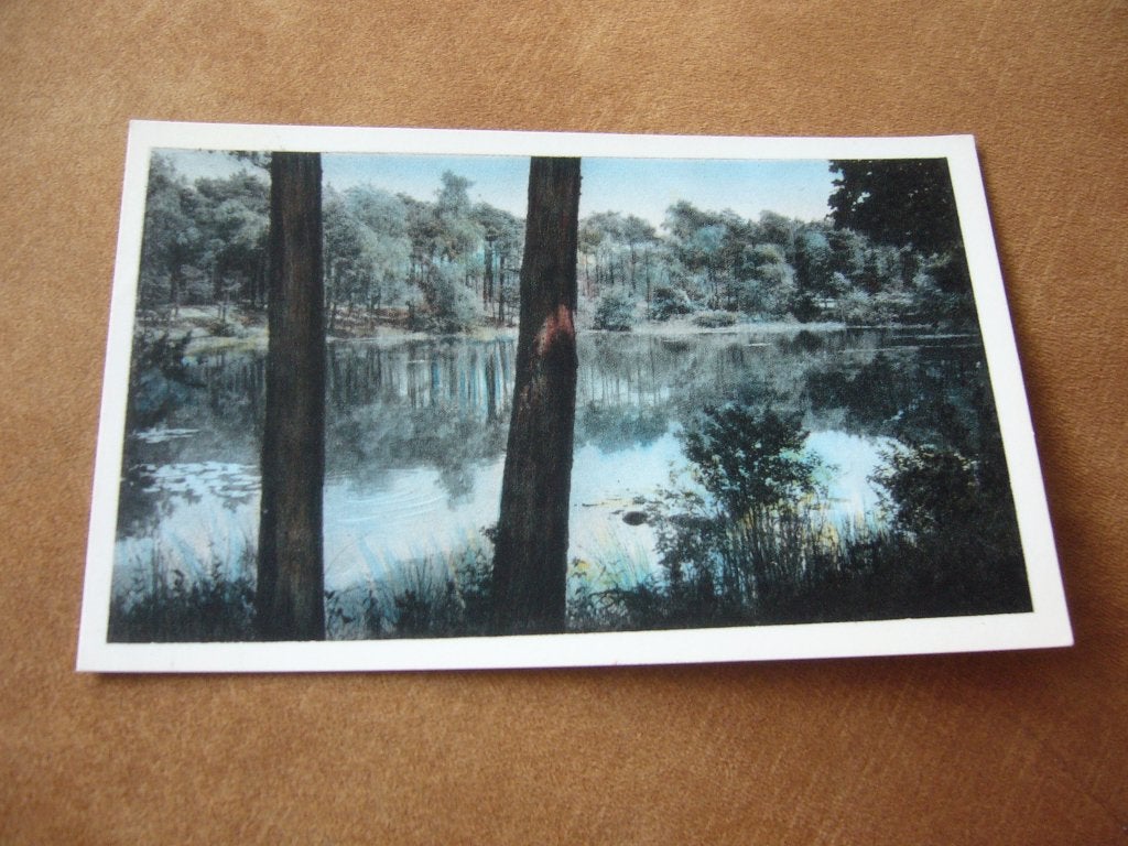 OISTERWIJK  =  CHORVEN, Ophalen of Verzenden, 1940 tot 1960, Gelopen, Noord-Brabant