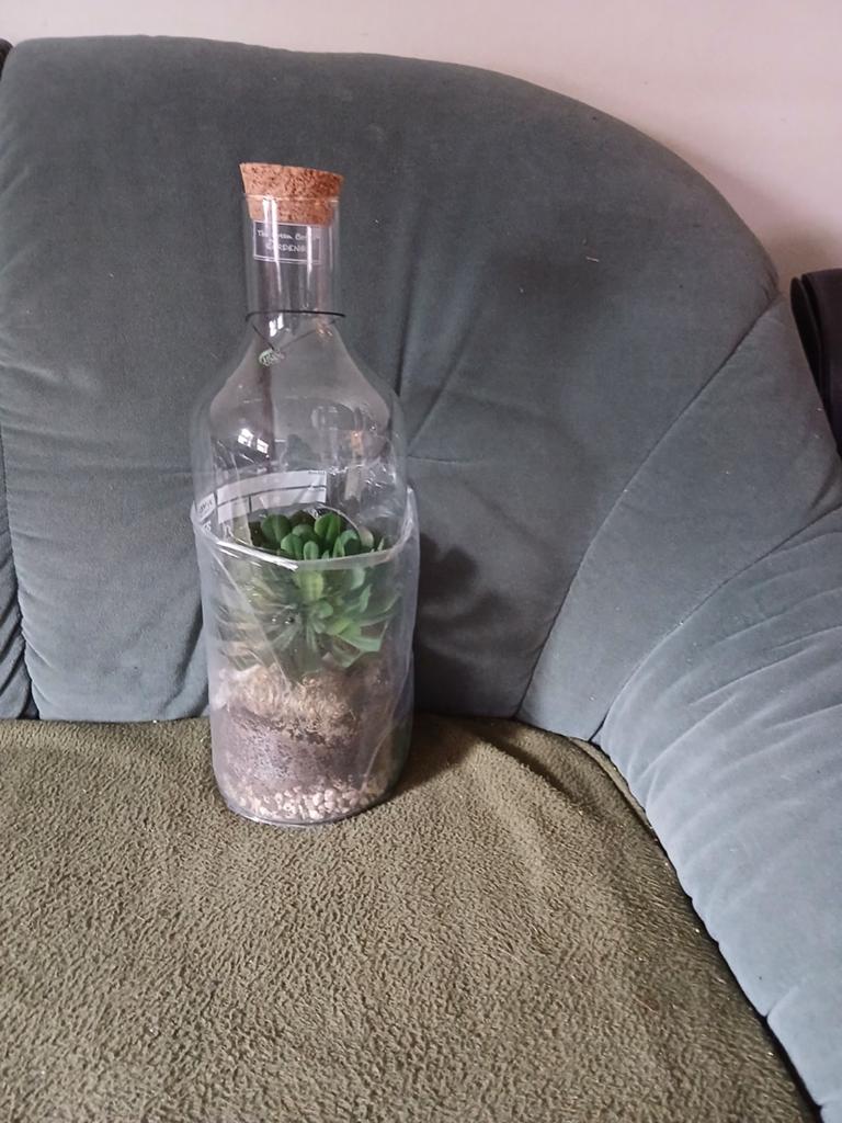 Fles met kunstplant, Ophalen