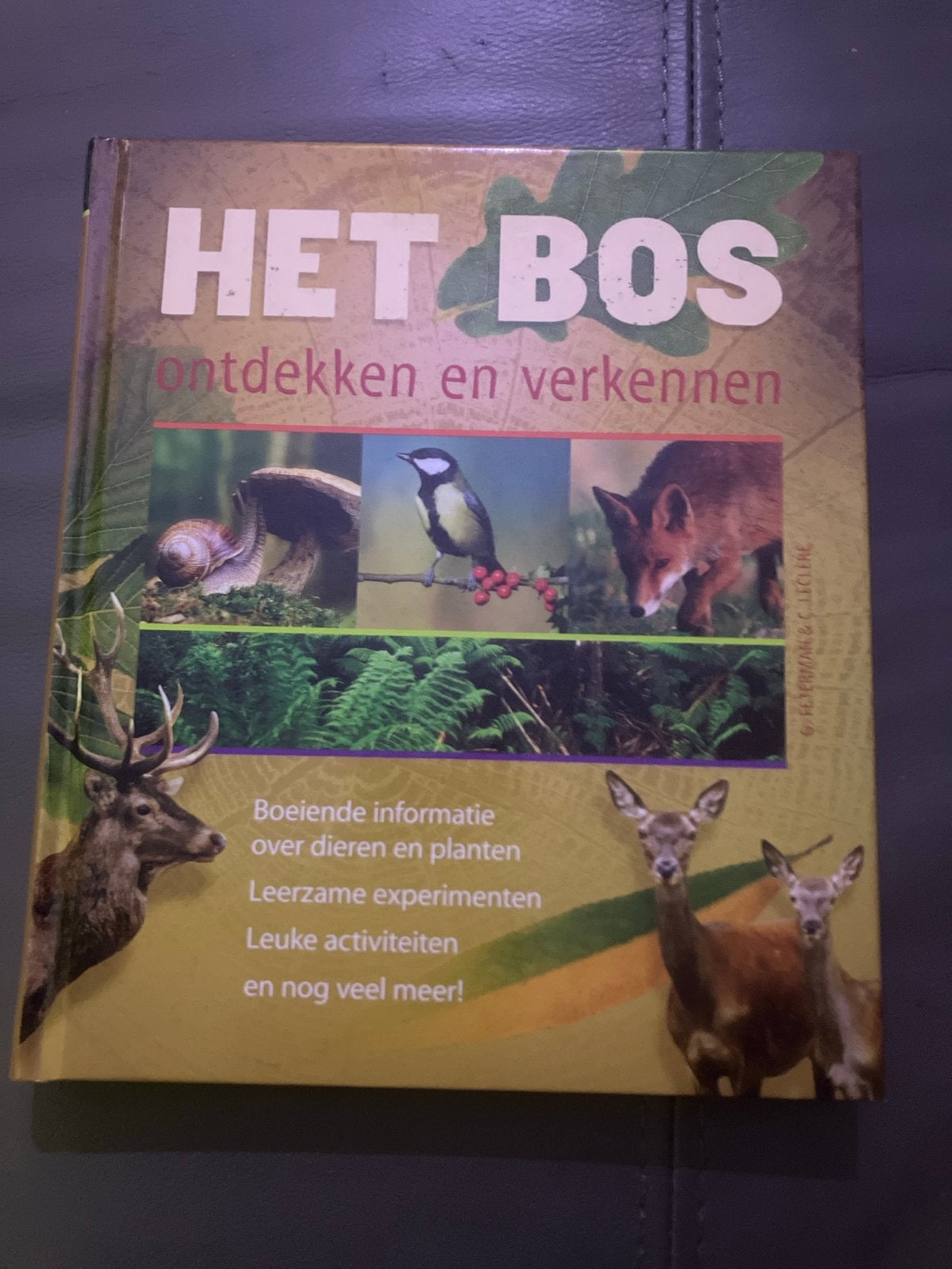Het Bos: Ontdekken en Verkennen - Natuurboek, Ophalen, Zo goed als nieuw, Natuur algemeen