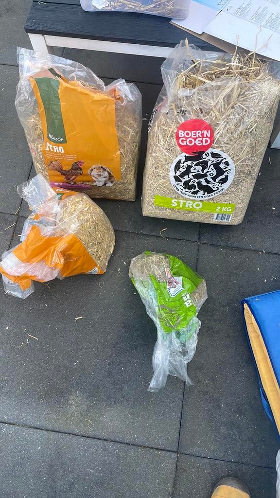 Stro konijn, Ophalen, Zo goed als nieuw