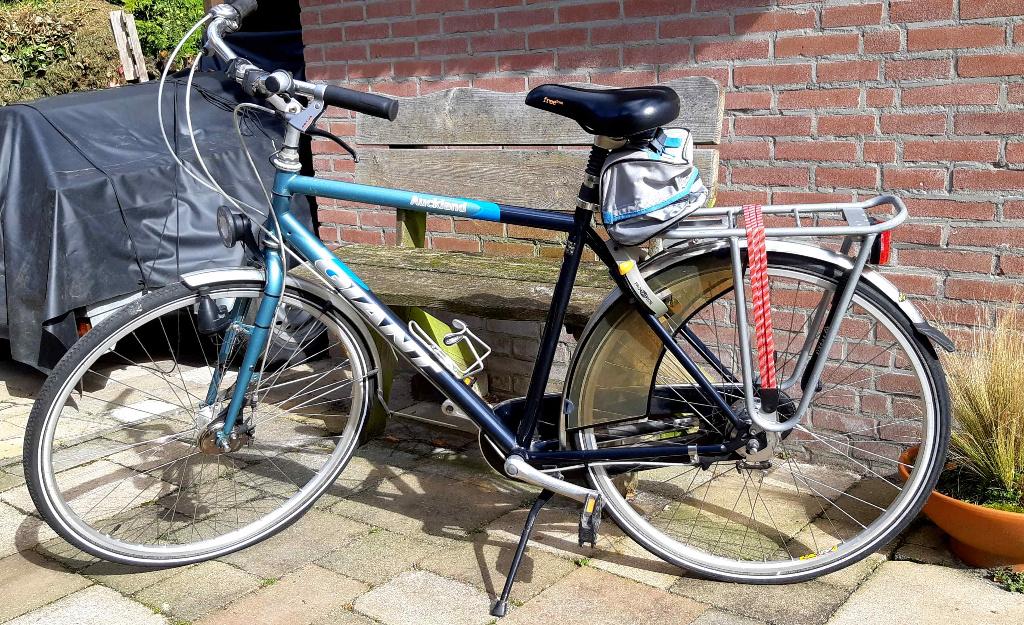 Herenfiets Giant Auckland met 7 (naaf)versnellingen, Ophalen, Gebruikt, Versnellingen, Giant