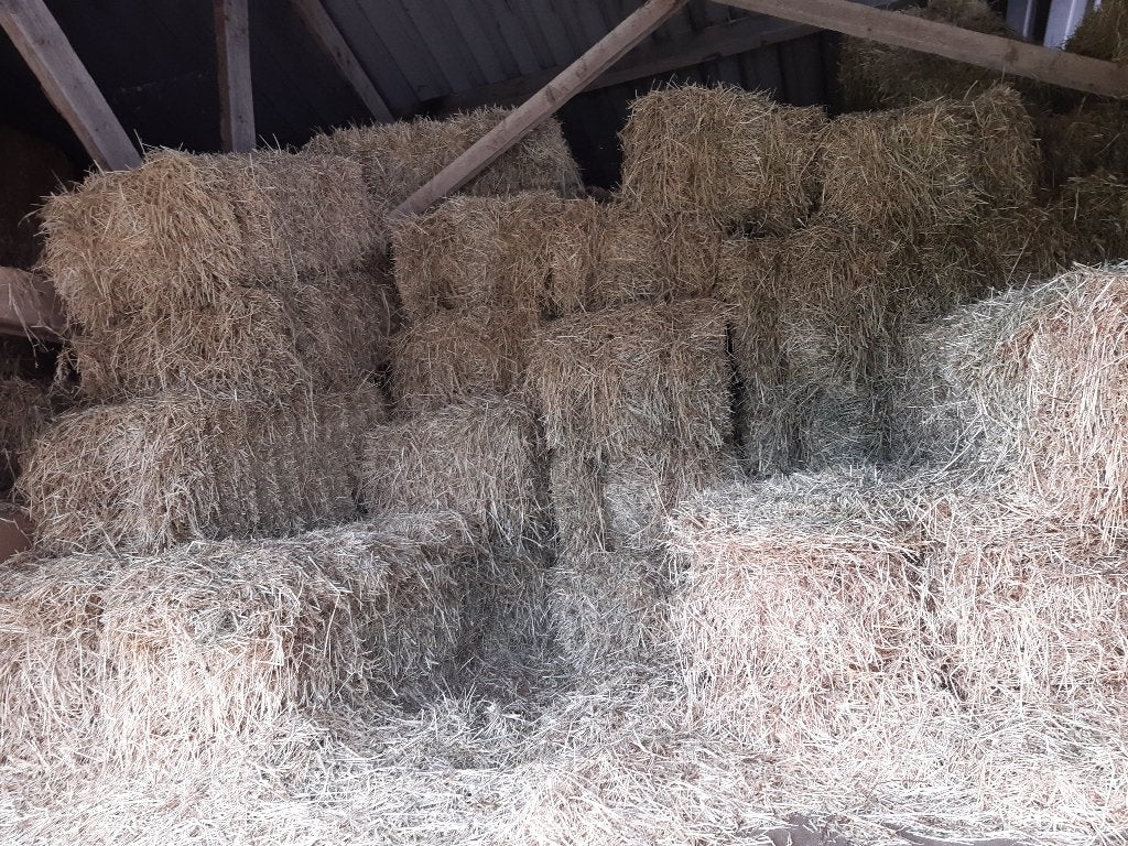 Hooi te koop, Dieren en Toebehoren, Dierenvoeding, Ophalen, Vee