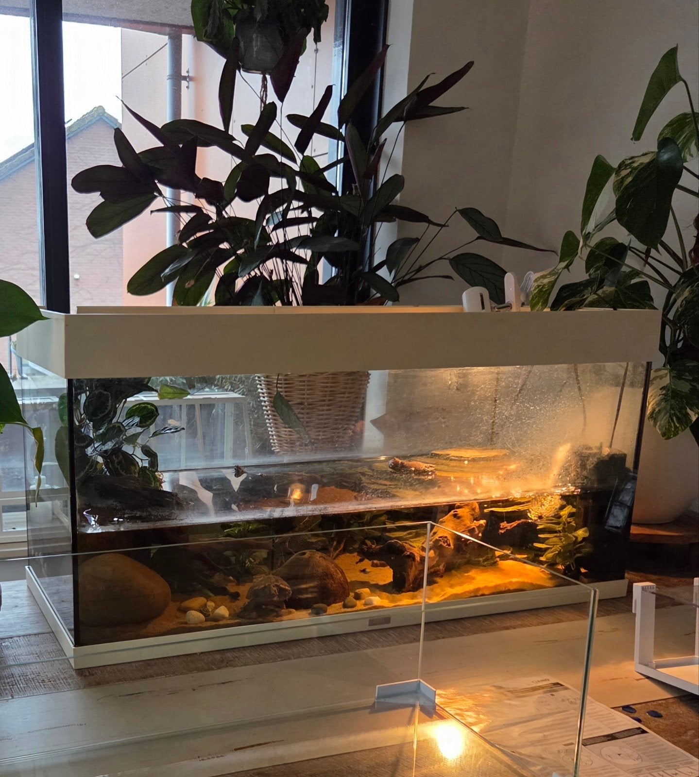 Juwel Rio 240 aquarium tank, Dieren en Toebehoren, Ophalen, Leeg aquarium, Juwel