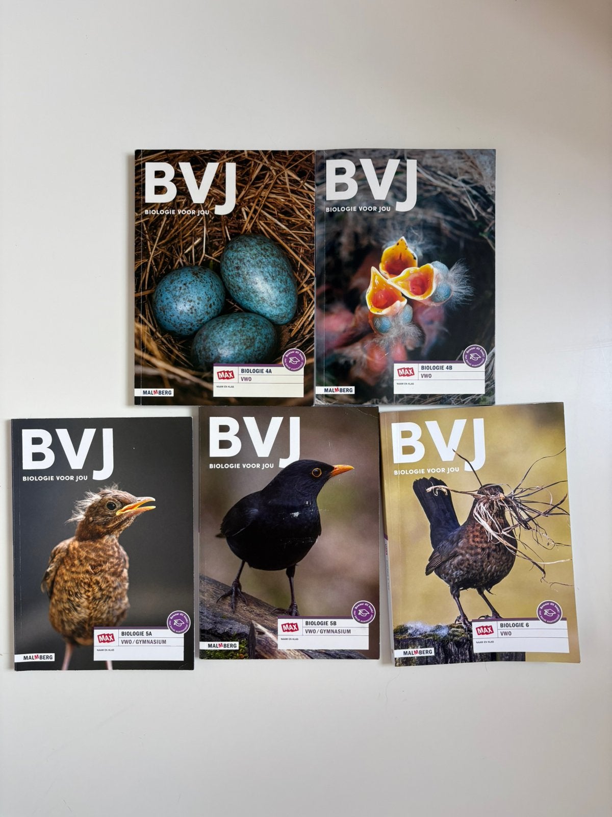 Biologie boeken biologie voor jou vwo, Ophalen of Verzenden, Zo goed als nieuw, Overige genres, 1 bandje