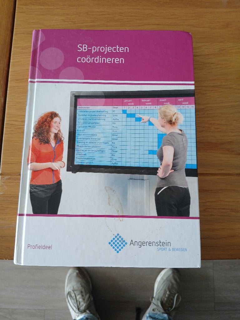SB-projecten coordineren  MBO NIEVEAU 4, Ophalen of Verzenden, Beta, Zo goed als nieuw, MBO