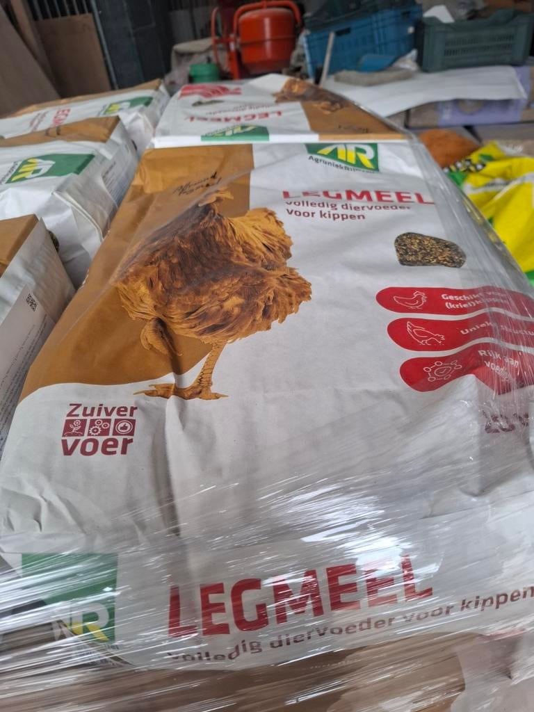5 leghennen en 20 kg legmeel  voor 60 euro, Dieren en Toebehoren, Pluimvee, Meerdere dieren, Kip