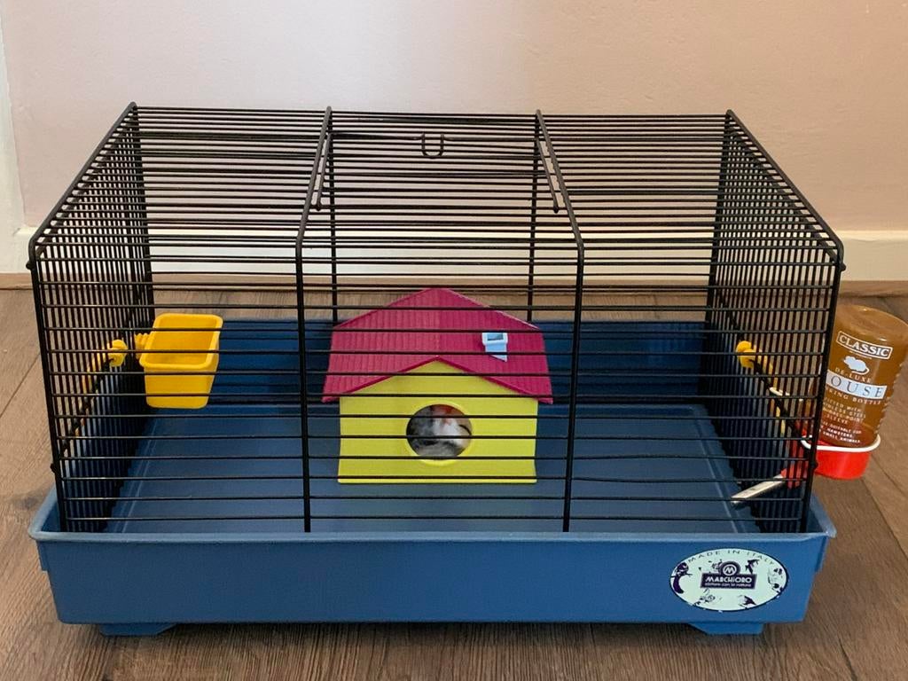 Marchioro Hamsterkooi, Dieren en Toebehoren, Kooi, Minder dan 75 cm, Zo goed als nieuw, Muis
