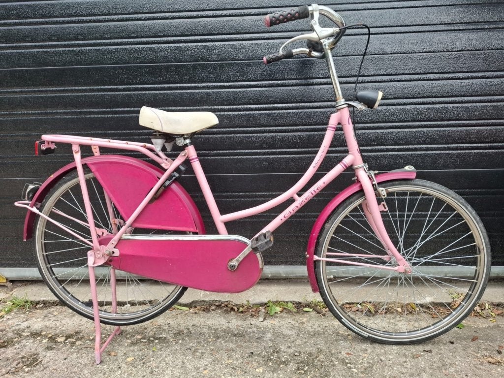 24 inch gazelle madelief meisjesfiets, Terugtraprem, 24 inch, Niet ingevuld, Niet ingevuld