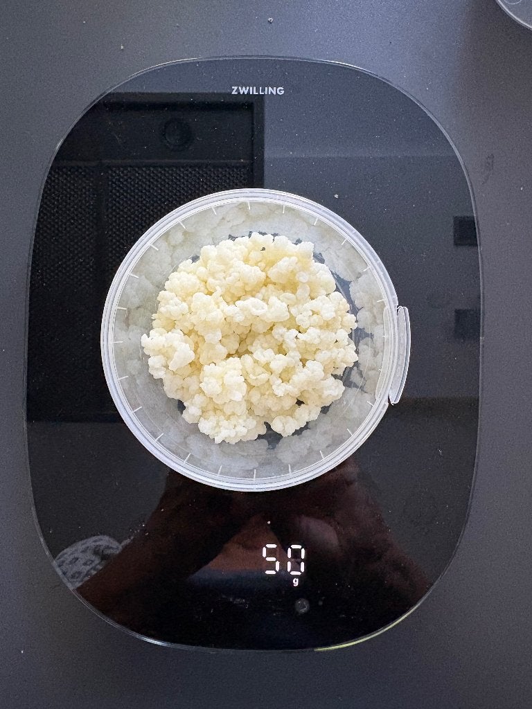 Melkkefir korrels, Diversen, Levensmiddelen, Ophalen