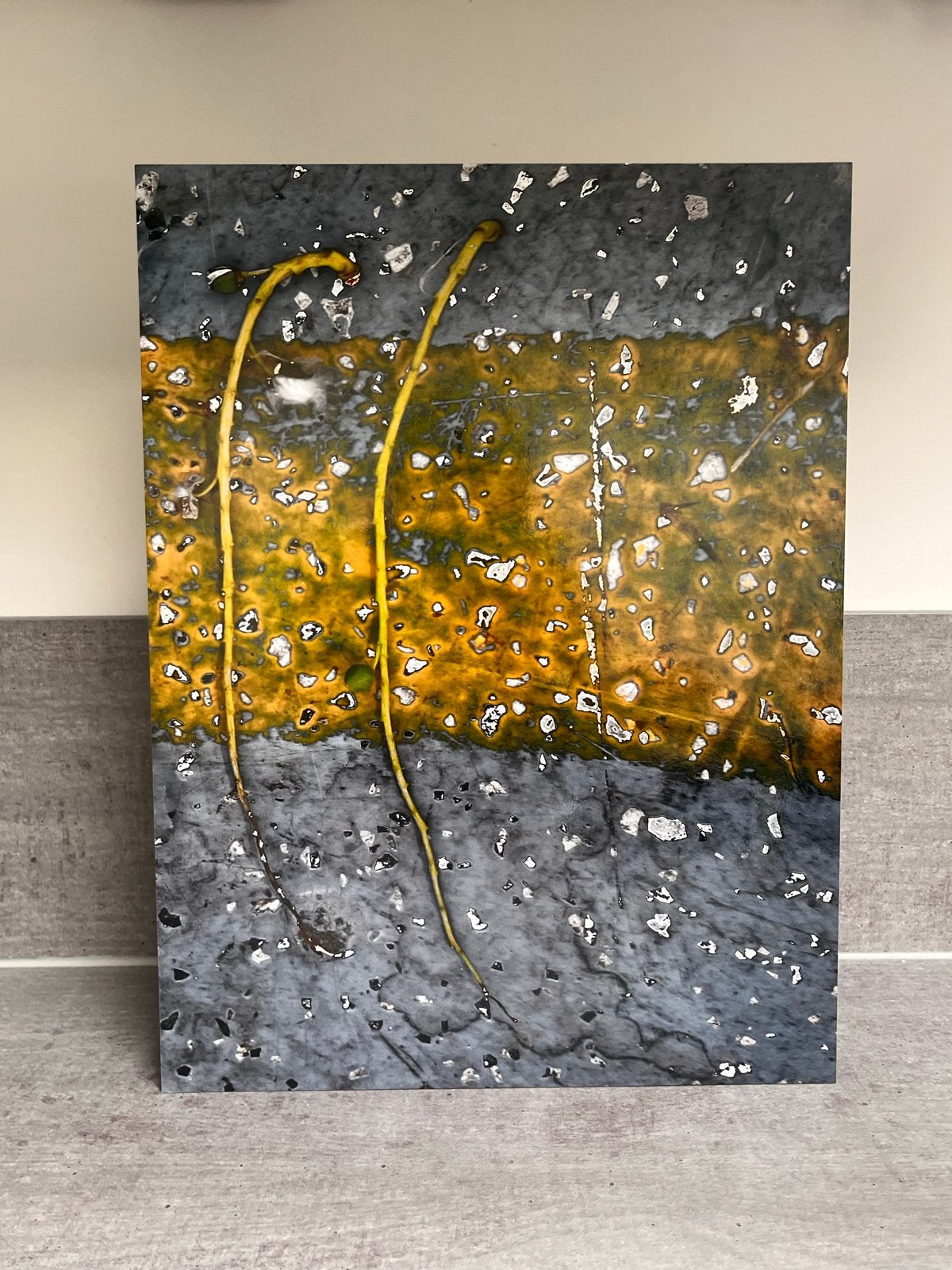 Abstracte kunstwerken van Bernadette Leijdekkers, Ophalen