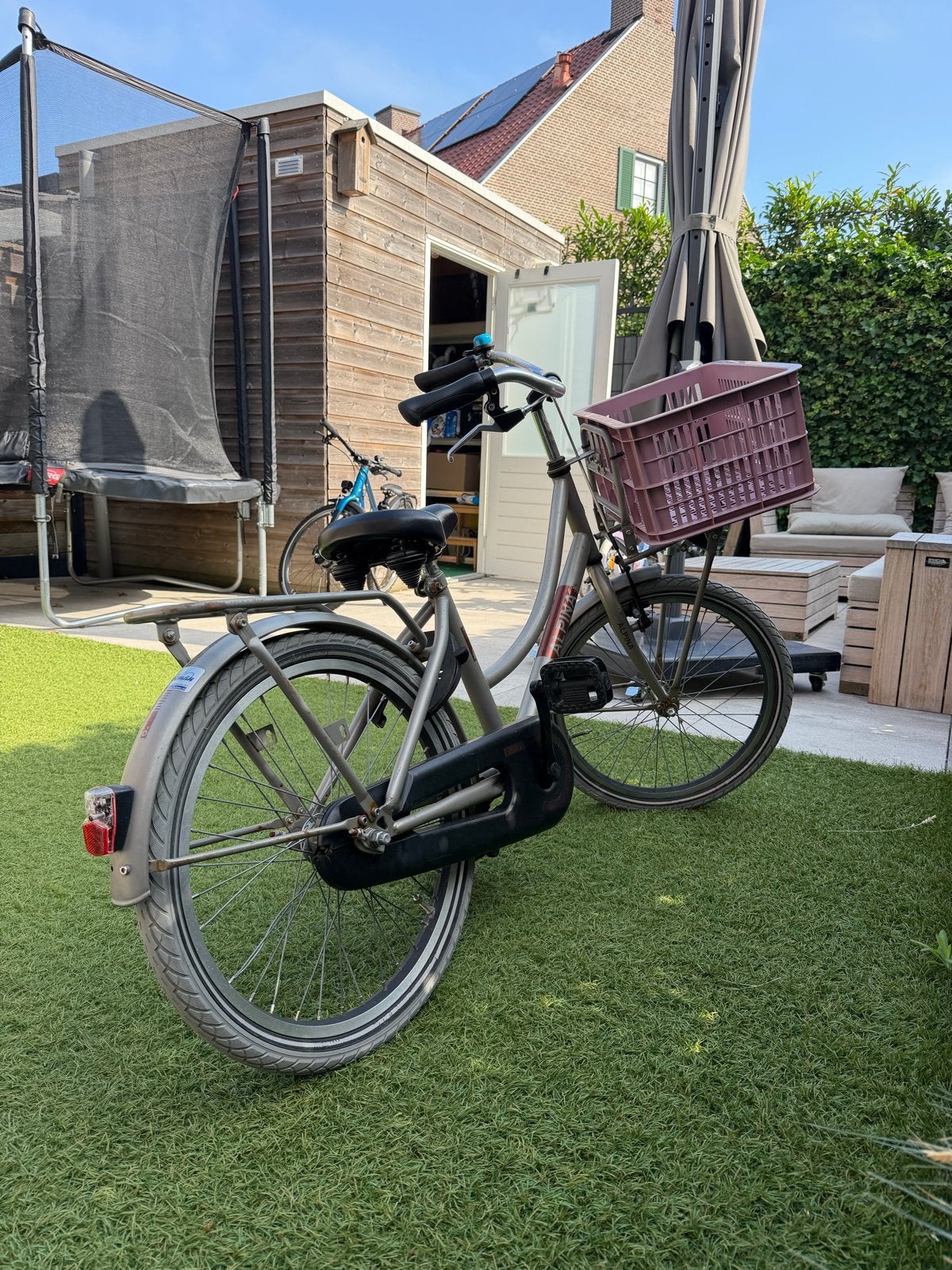 Alpina kinderfiets met mandje, Ophalen of Verzenden, Gebruikt, Terugtraprem, 20 inch of meer