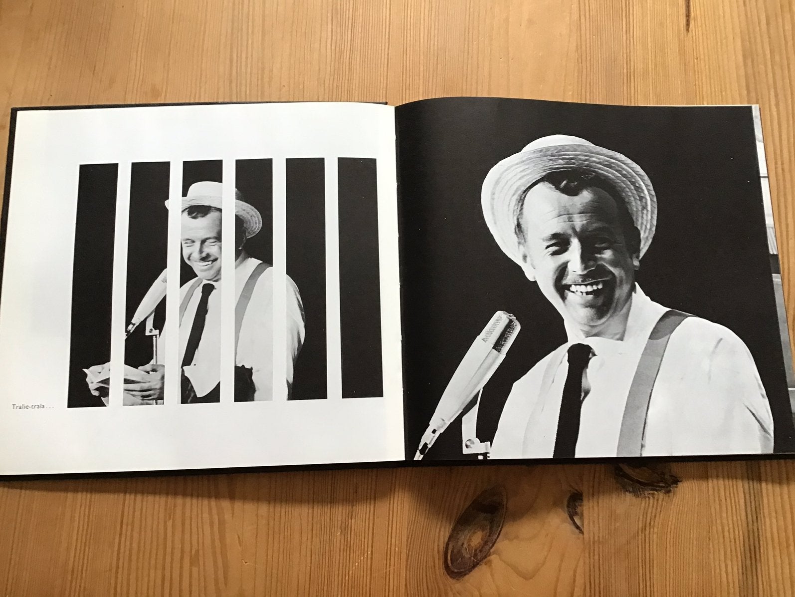 Toon Hermans boek TOON, Ophalen of Verzenden, Gelezen, Toon Hermans, Personen