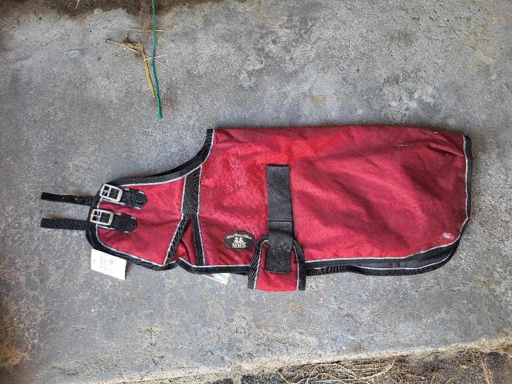 Veulendeken nieuw, MHS, maat L mini veulen - 75cm, Dieren en Toebehoren, Shetlander/Mini, Overige merken, Rood, Nieuw