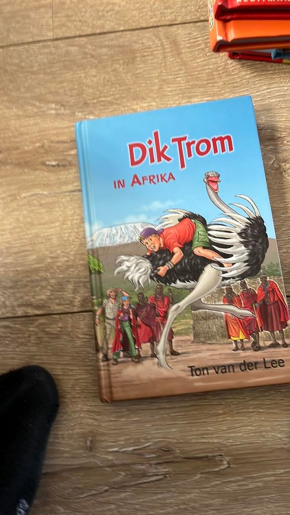 Ton van der Lee - Dik Trom in Afrika, Ophalen, Zo goed als nieuw, Ton van der Lee