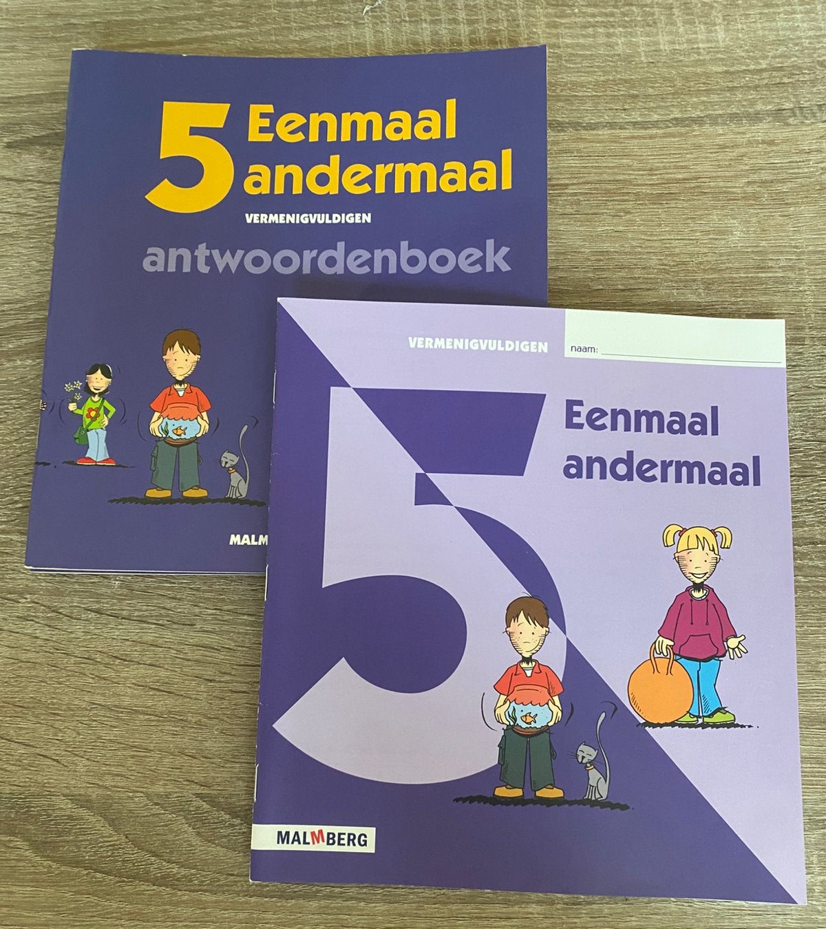 5 eenmaal andermaal vermenigvuldigen, Ophalen of Verzenden, Zo goed als nieuw, Overige niveaus