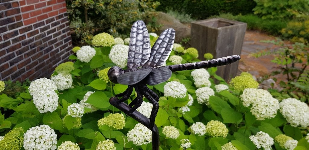 regenmeter / rvs/ LIBELLE, Nieuw, Info@huisentuindecoratiemarie.nl, Huis en tuin decoratie marie, Peize