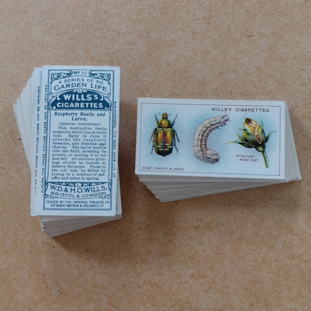 Garden Life complete set 50 cigarette cards 1914 Wills, Ophalen