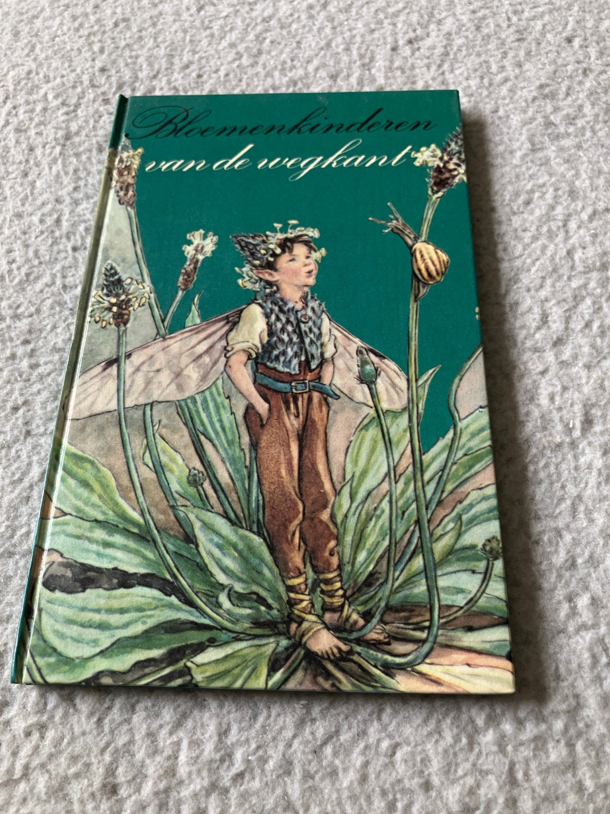 Bloemenkinderen van de wegkant - Cicely Mary Barker, Boeken, Ophalen of Verzenden, Gelezen, Sprookjes
