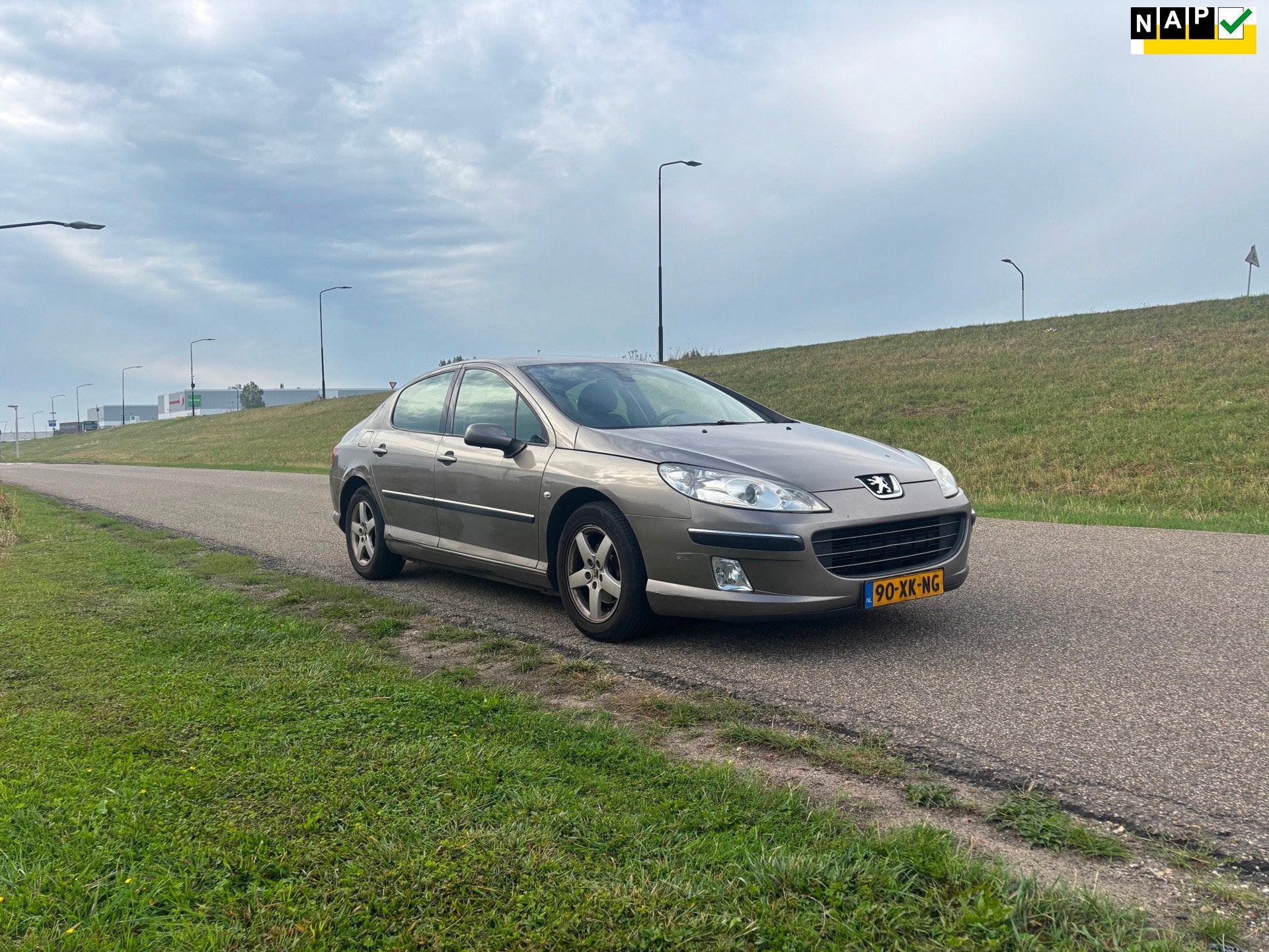 Peugeot 407 2.0-16V XT, Auto's, 4 cilinders, Electronic Stability Program (ESP), Sedan, Euro 4