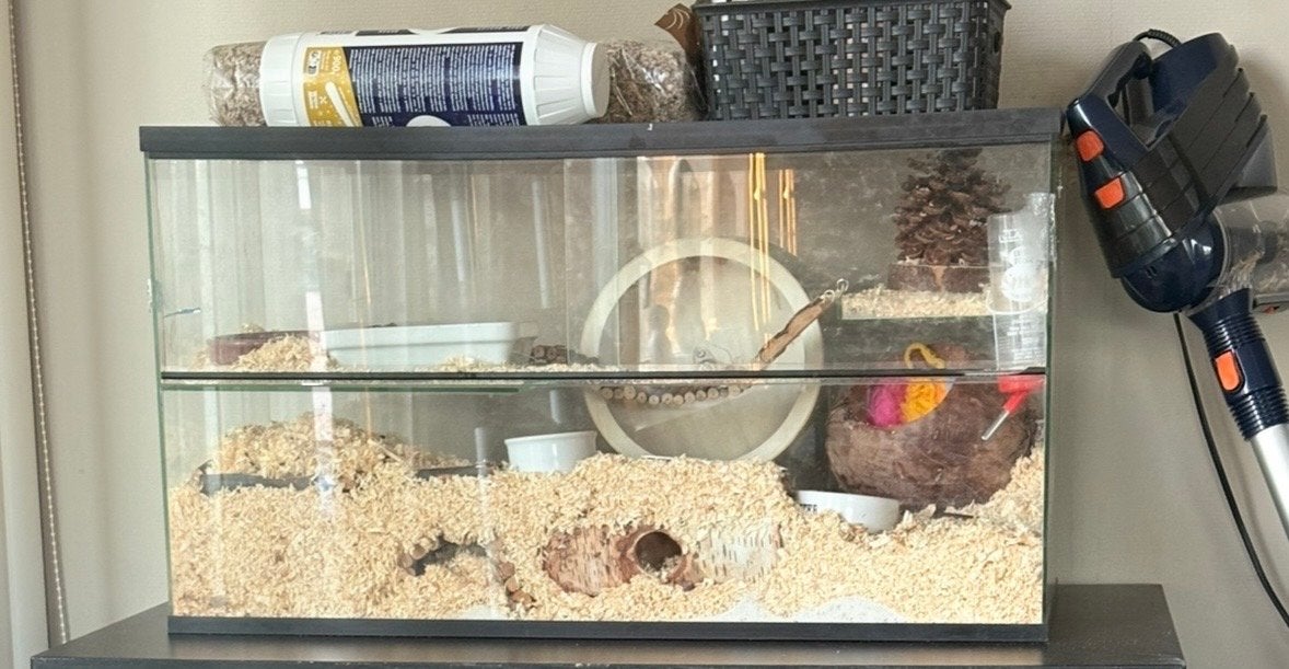 Knaagdieren terrarium (hamster), Overige typen, Zo goed als nieuw, Hamster, 75 tot 110 cm