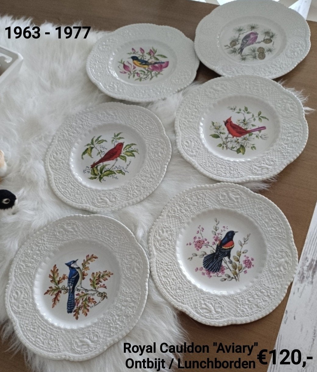 Royal Cauldon "Aviary" ontbijt/lunchborden (6 stuks), Antiek en Kunst, Ophalen