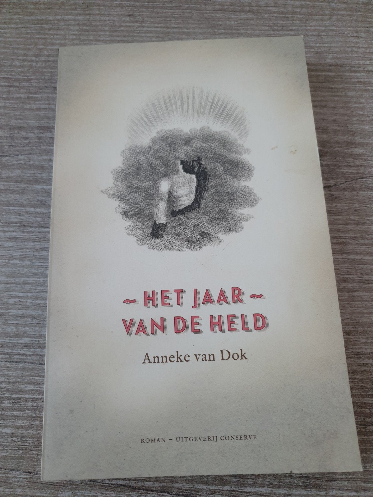 Het Jaar van de Held - Anneke van Dok (Roman), Ophalen of Verzenden, Gelezen, Anneke van Dok