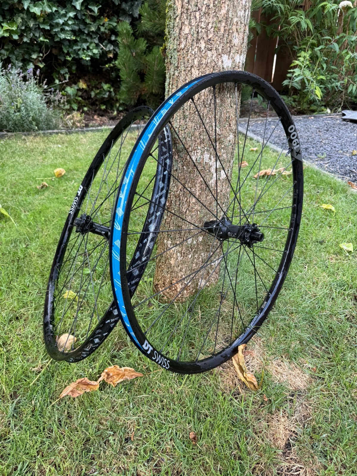 DT swiss X 1900 Spline 25 MTB wielen 29"", Gebruikt, DT Swiss, Aluminium, Mountainbike