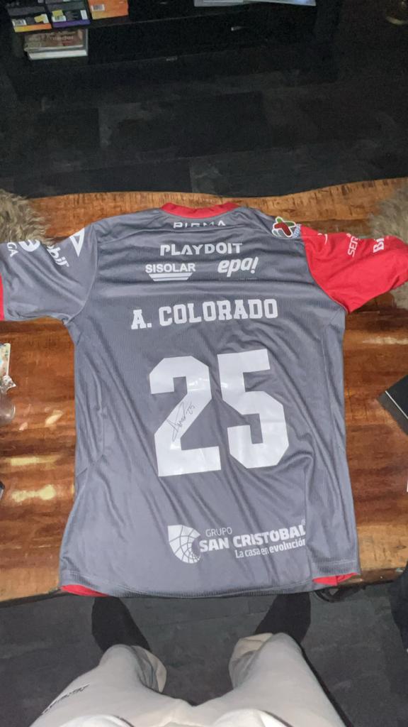 Gedragen Mexicaans voetbalshirt met handtekening, Overige maten, Ophalen of Verzenden, Voetbal, Grijs