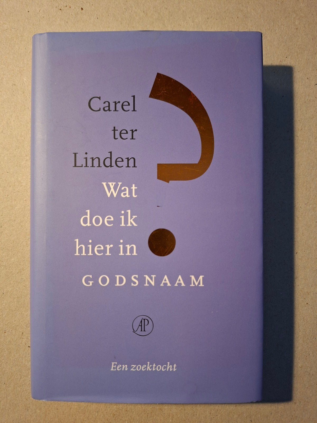 Carel ter Linden - Wat doe ik hier in Godsnaam?, Ophalen of Verzenden, Zo goed als nieuw, Carel ter Linden, Christendom | Protestants