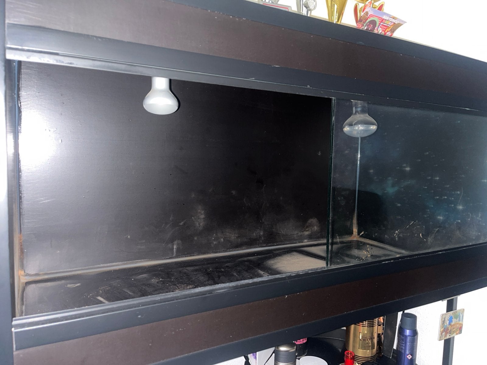 Zo goed als nieuw terrarium, Ophalen, Zo goed als nieuw