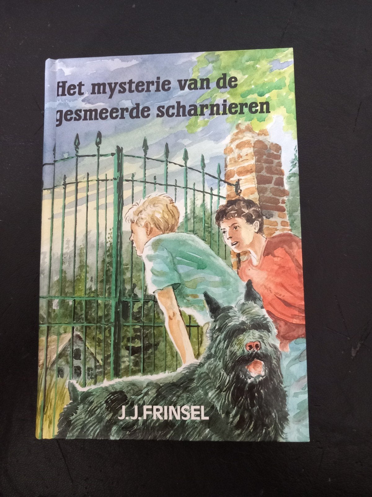 J.J. Frinsel - Het mysterie van de gesmeerde scharnieren, Ophalen of Verzenden, Zo goed als nieuw, J.J. Frinsel, Fictie algemeen
