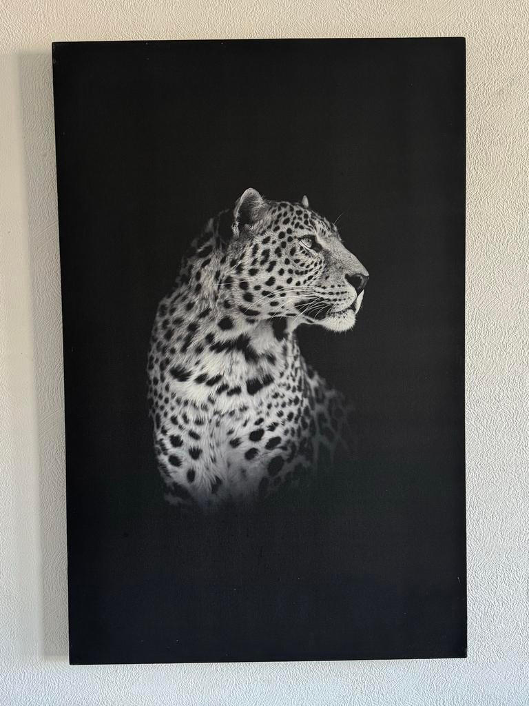 Foto op canvas van een luipaard, Ophalen