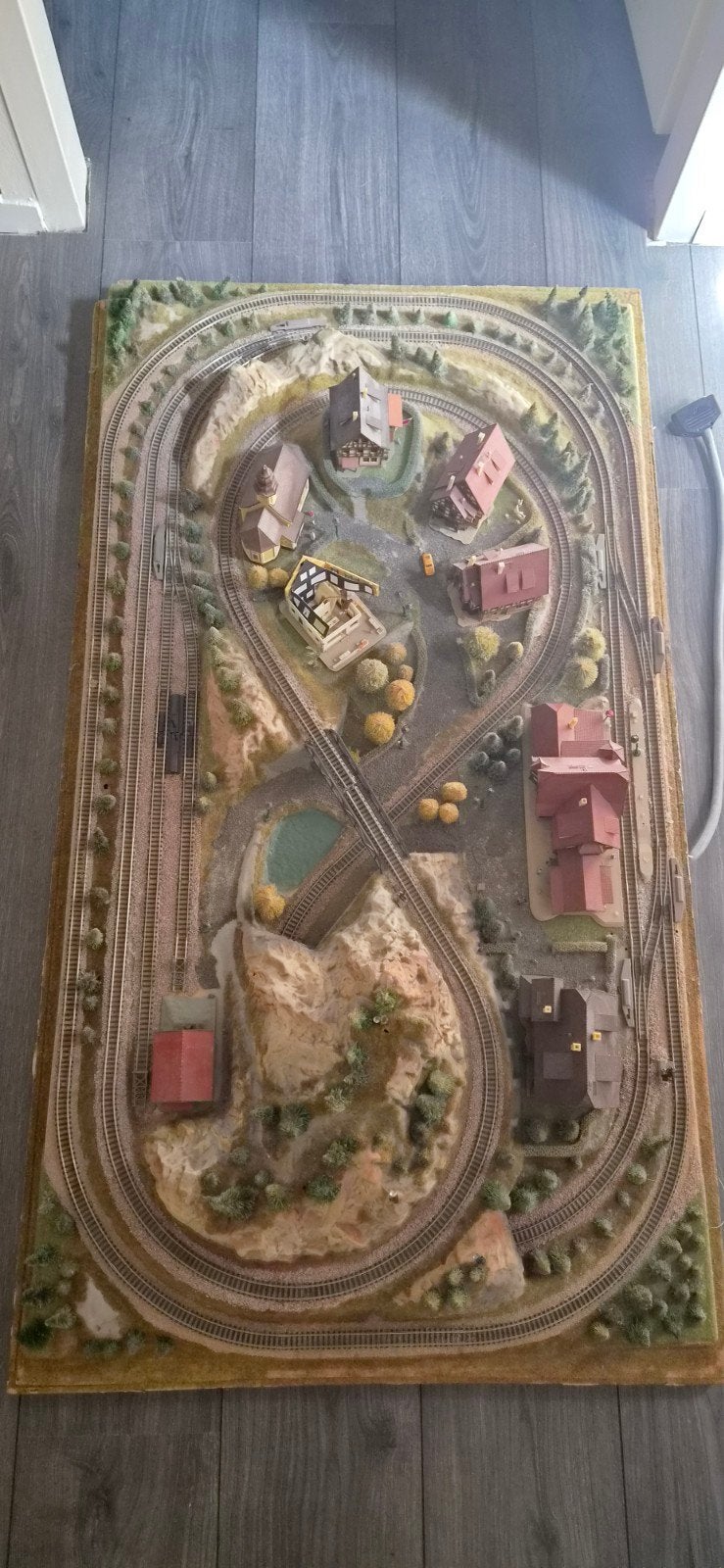 Prachtige modelspoorbaan met landschap en gebouwen, Ophalen