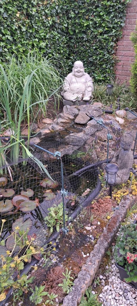 Vijver met vissen, Tuin en Terras, Vijvers, Gebruikt, Ophalen of Verzenden