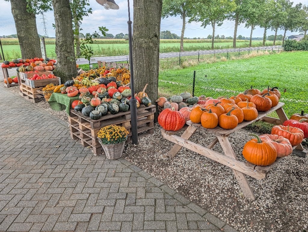 Pompoenen & kalebassen, Ophalen, Nieuw