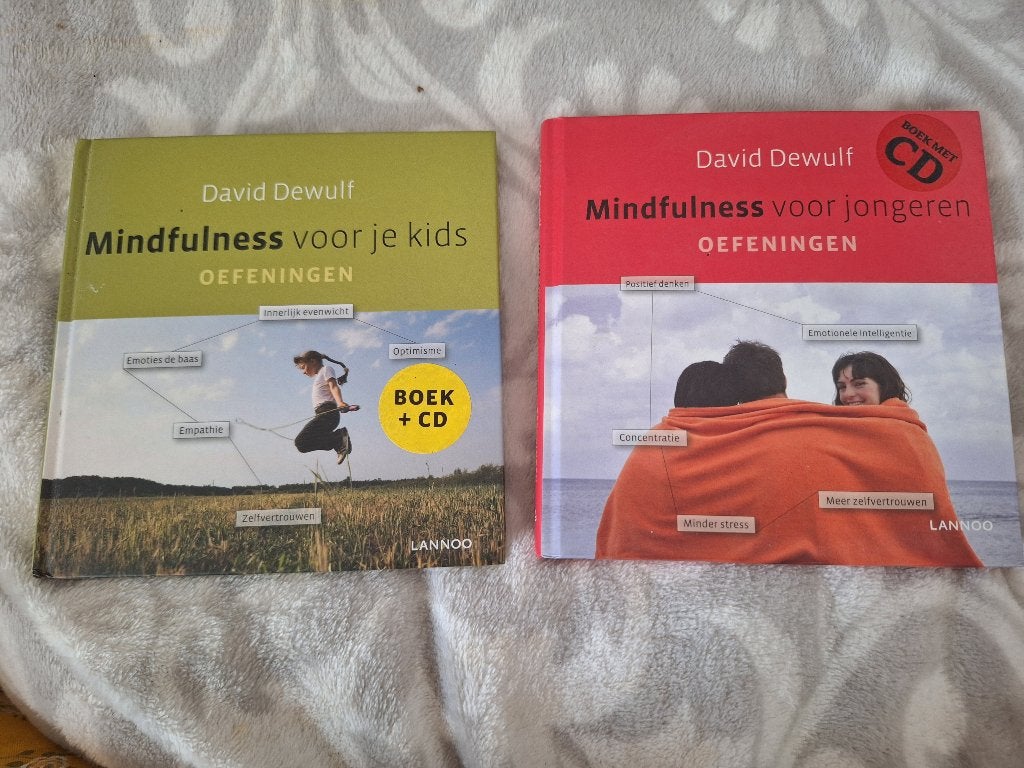 Mindfulness, Ophalen of Verzenden, Zo goed als nieuw, Overige onderwerpen, Achtergrond en Informatie