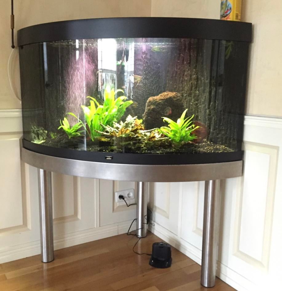 Hoek aquarium Juwel trigon op RVS onderstel, Dieren en Toebehoren, Vissen | Aquaria en Toebehoren, Gebruikt, Leeg aquarium, Ophalen