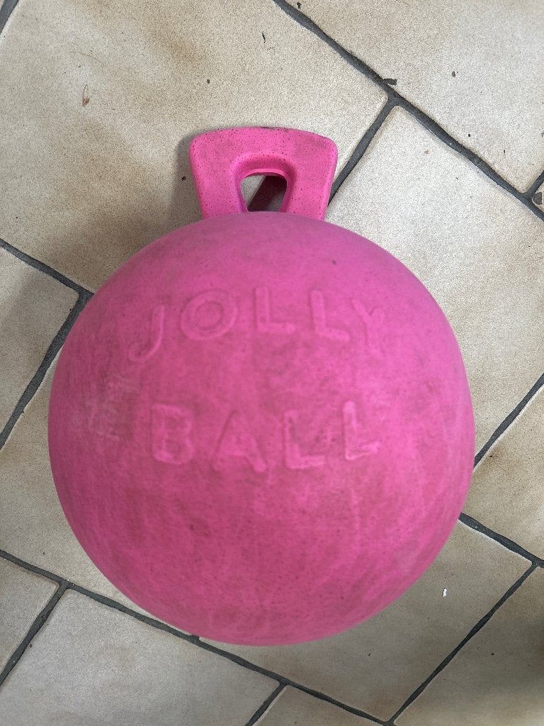 Jollyball paard, Ophalen of Verzenden, Zo goed als nieuw