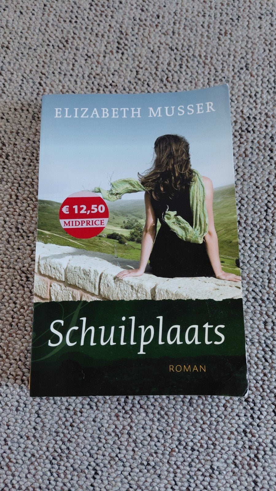 Schuilplaats - Elizabeth Musser (Roman), Gelezen, Ophalen of Verzenden, Elizabeth Musser, Amerika