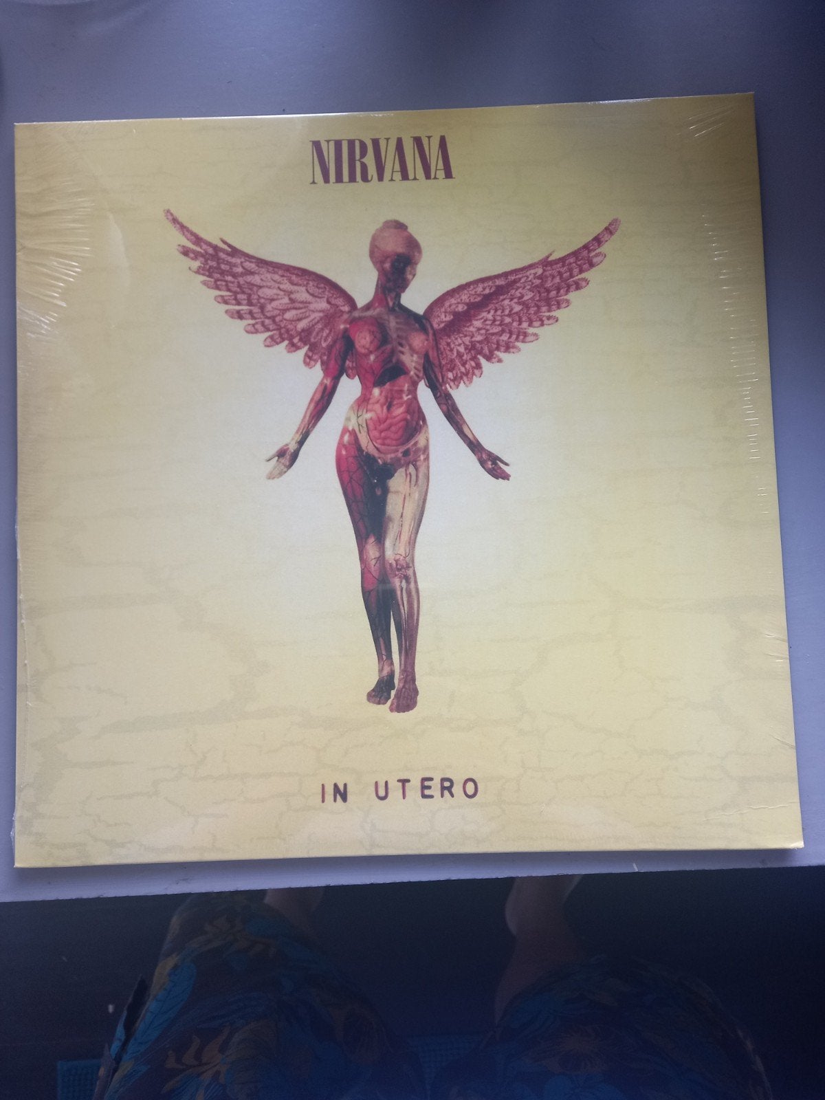 Nirvana vinyl, Ophalen of Verzenden, Nieuw in verpakking