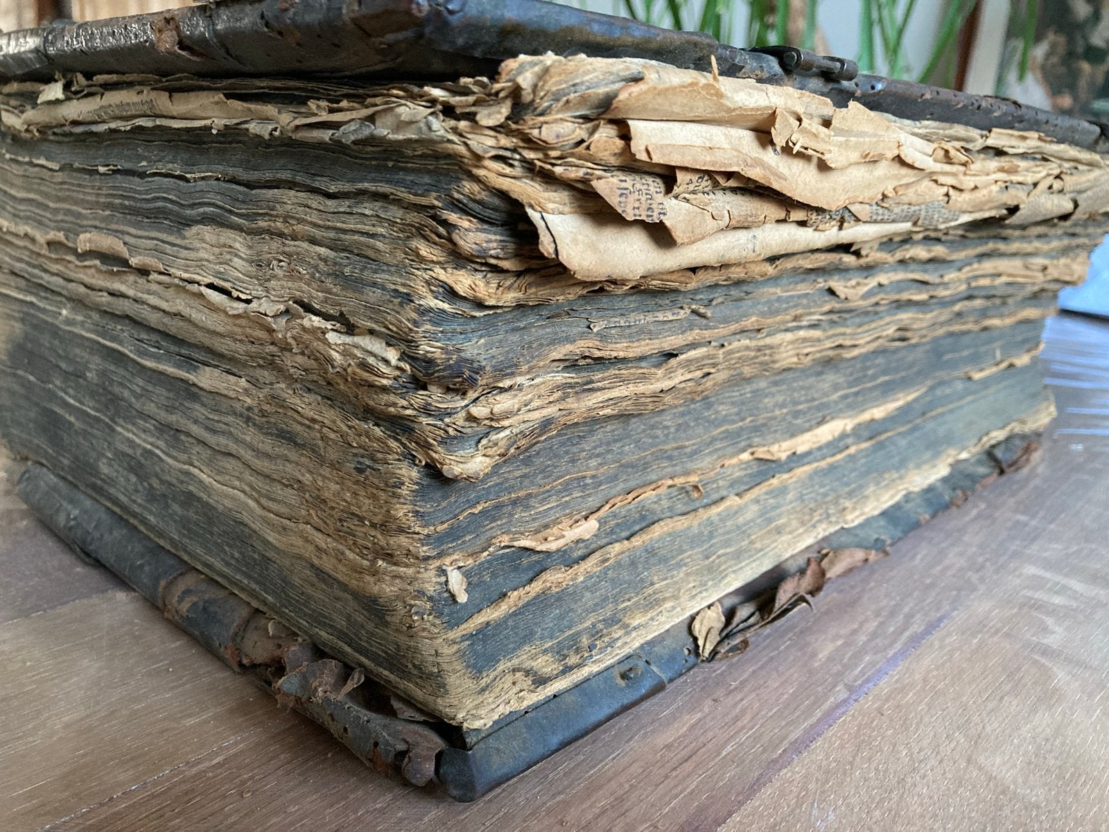 Antieke Luther Bijbel - 18e Eeuwse Editie, Antiek en Kunst, Antiek | Boeken en Bijbels, Ophalen