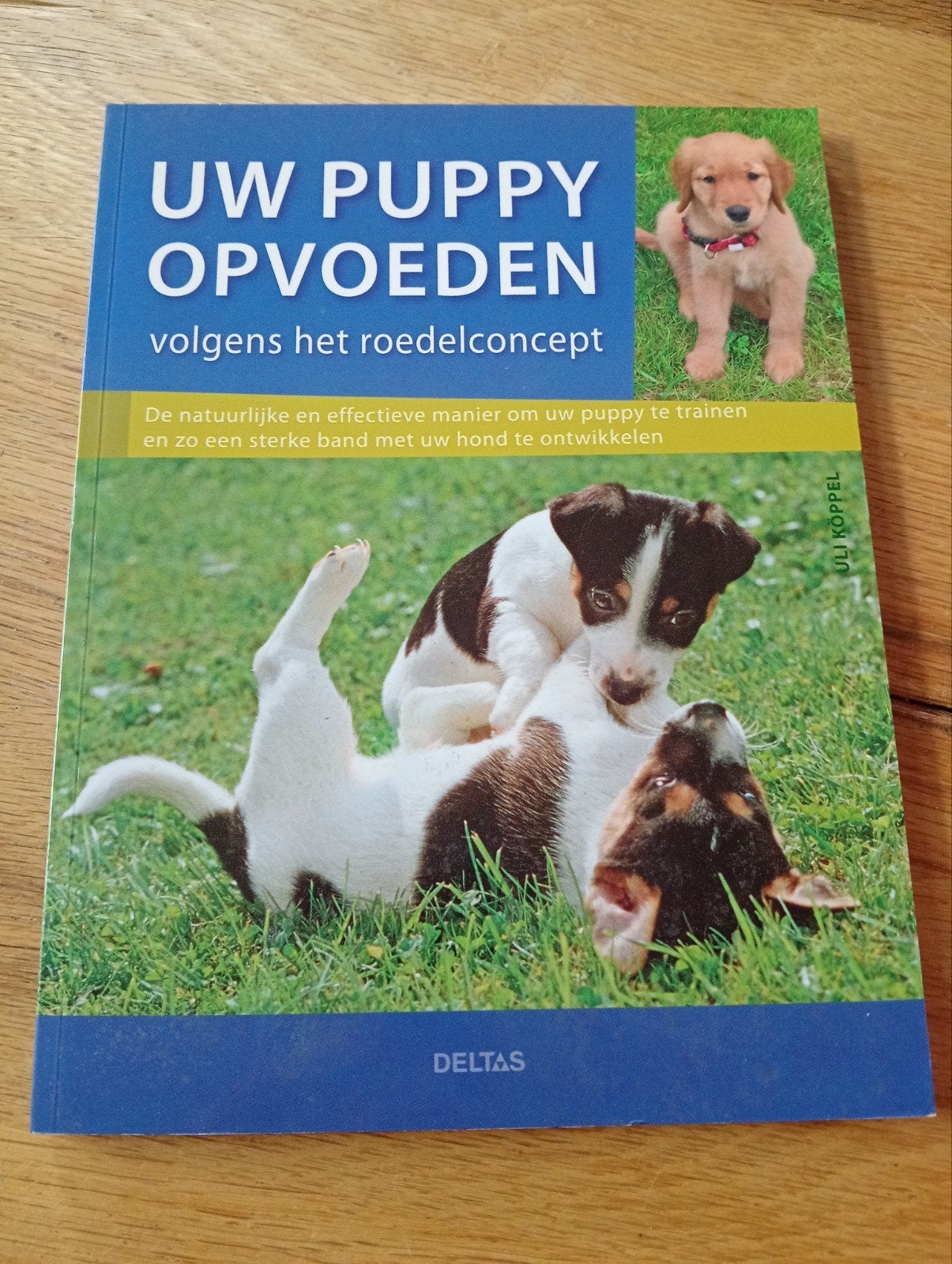 Uw Puppy Opvoeden - volgens het roedelconcept, Boeken, Gelezen, Honden, Uli Köppel, Ophalen of Verzenden