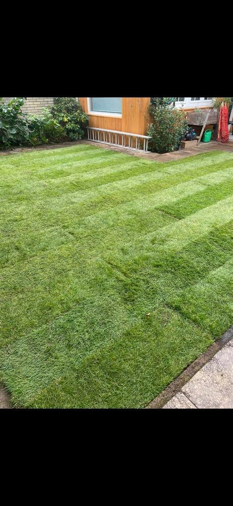 Gras onderhoud of vernieuwen, Tuinonderhoud of Snoeiwerk