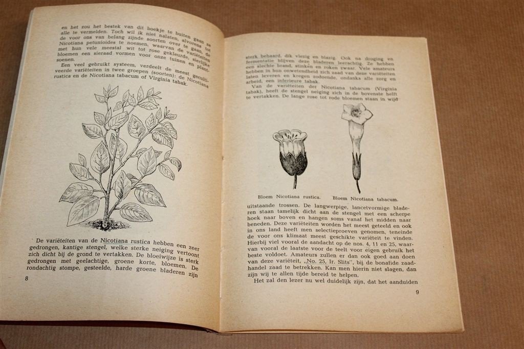 Tabaksteelt in Eigen Tuin — Vintage Handboekje ca 1946, Verzenden, Gelezen, Tuinieren en Tuinplanten