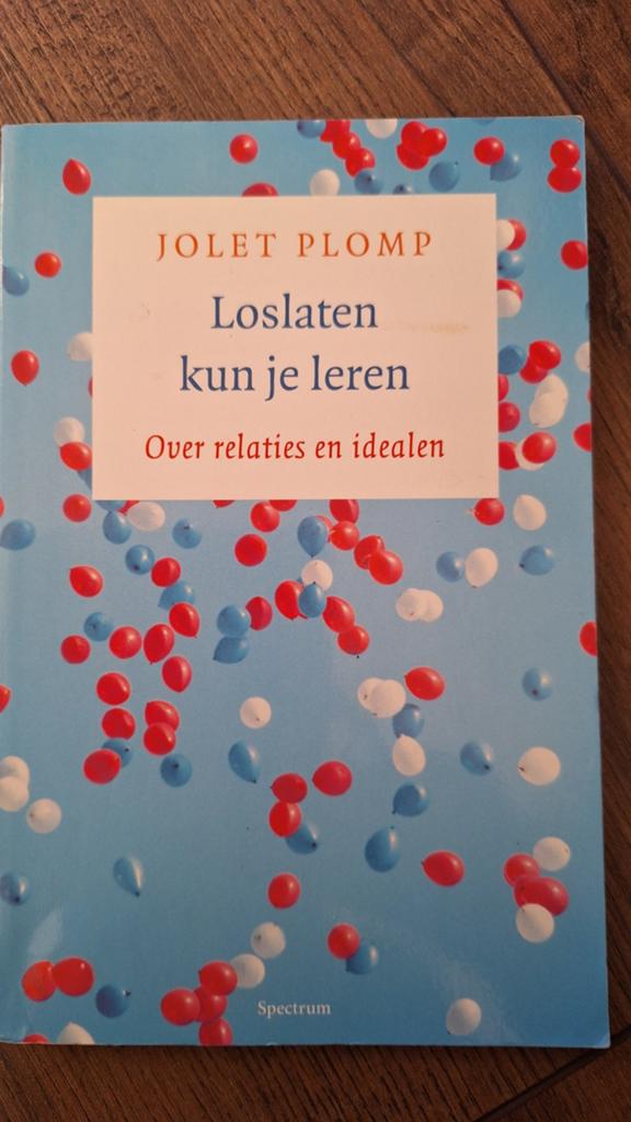 Loslaten kun je leren - J. Plomp (Over relaties en idealen), Boeken, Ophalen of Verzenden, Zo goed als nieuw, Jolet Plomp