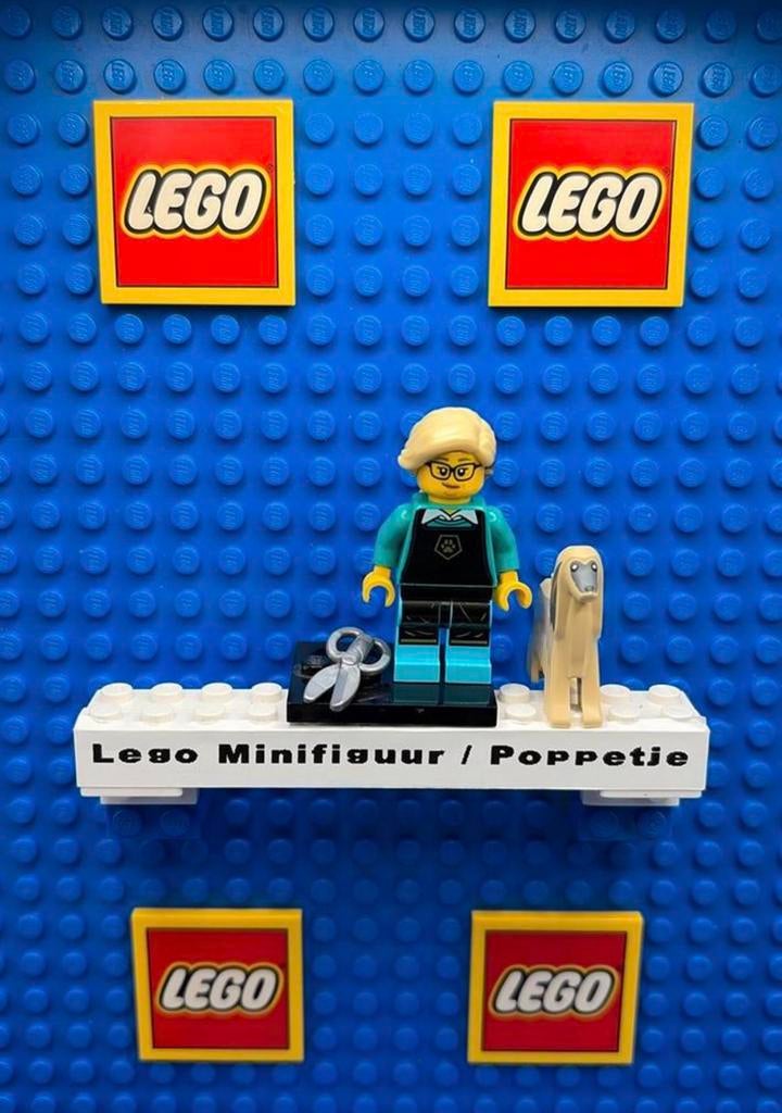Lego Minifiguur / Poppetje COL25-12., Ophalen of Verzenden, Zo goed als nieuw, Lego