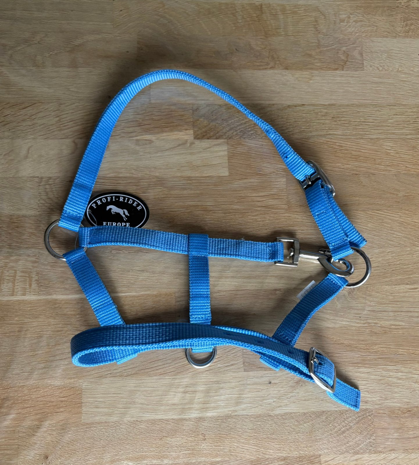 Schattig verstelbaar veulen halster, Dieren en Toebehoren, Nieuw, Ophalen of Verzenden, Blauw, Halster